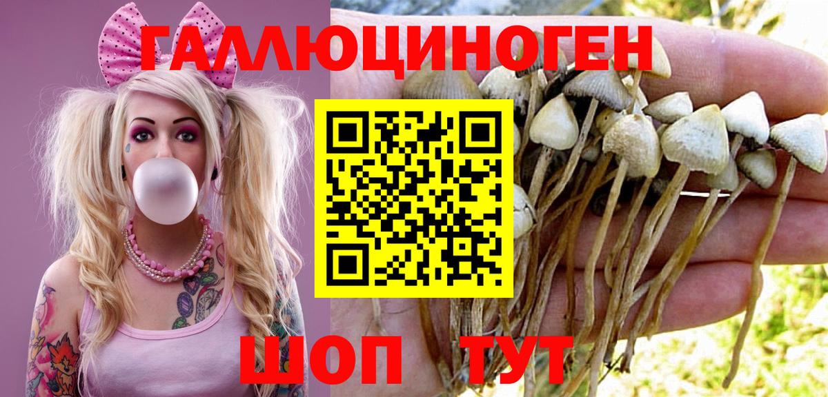 Уссурийск  Галлюциногенные грибы Magic Shrooms  магазин продажи наркотиков  Вход с VPN 