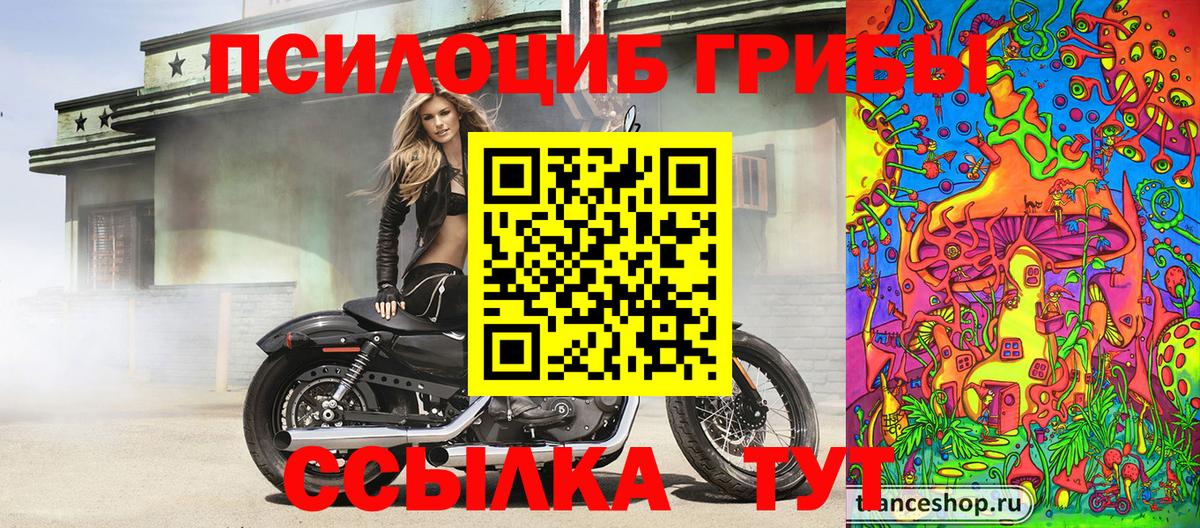 Псилоцибиновые грибы мицелий Уссурийск